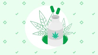 A Guide to Marijuana and Pre-Employment Drug Tests