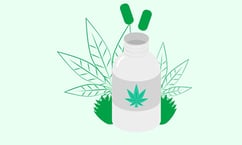 A Guide to Background Checks in the Cannabis Sector