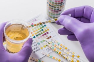 drug testing lab