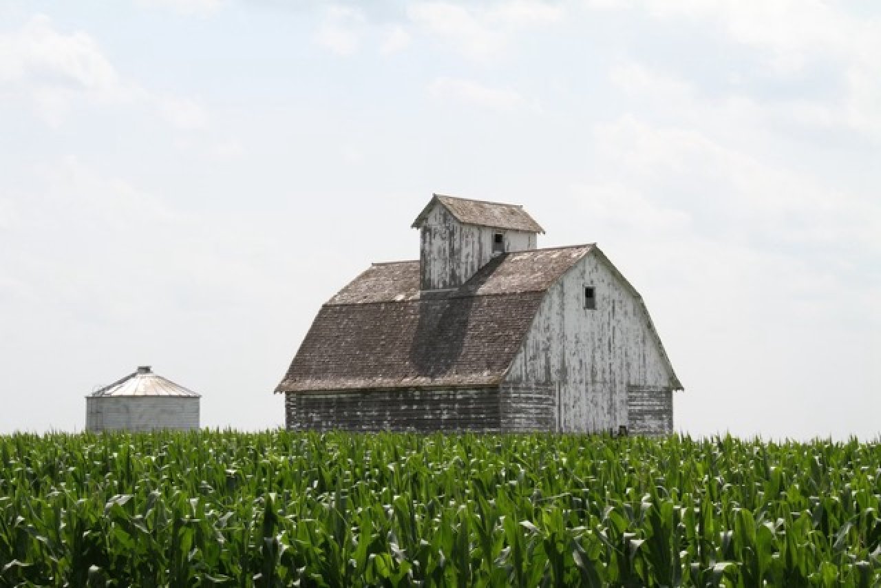 Iowa State Law